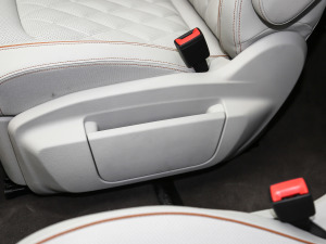 2021530TSI ŞپPro g