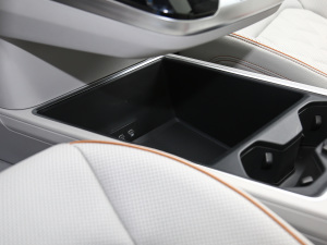 2021530TSI ŞپPro g