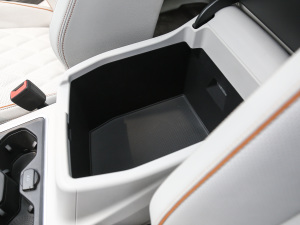 2021530TSI ŞپPro g