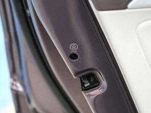 2021530TSI ŞپPro g