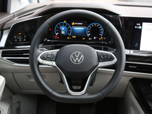 2021530TSI (q)ŞپPro P