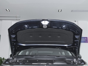 2021款380TSI 四驱旗舰胜境版 其它