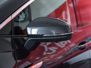 2021款330TSI 两驱豪华佳境版 后视镜