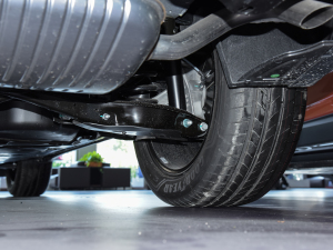 2021330TSI AѾ (ji)^