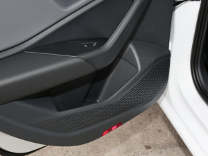 2022280TSI DSG׿Խ Tg