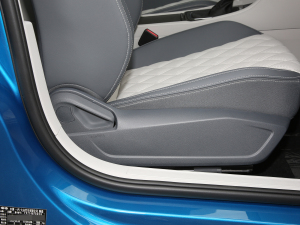 2023280TSI DSG׿ԽPlus g