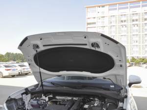 2022280TSI (q)A(lin) l(f)әCœ