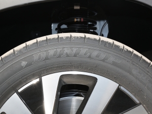 2022330TSI (q)A(lin)Plus ݆̥Ʒ