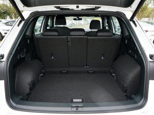 2022380TSI R-Line g