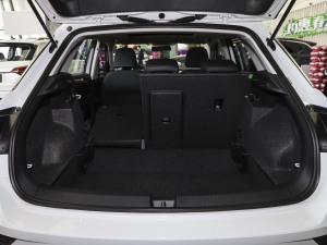 2022280TSI DSG򌾫ӢPLUS g