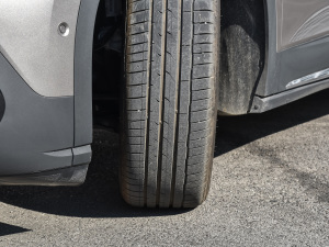 2022Lm(x)Lite PRO (ji)^