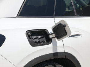 2022(bio)(zhn)m(x)PURE (x)(ji)^