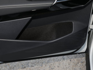 2022(bio)(zhn)m(x)PURE T(ch)g