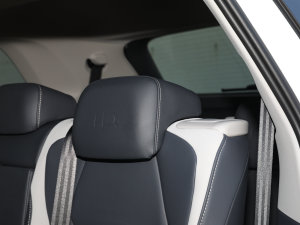 2022(bio)(zhn)m(x)PURE g