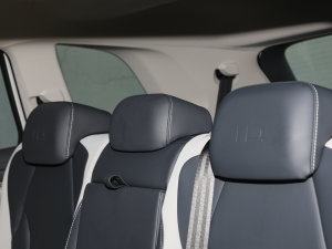 2022(bio)(zhn)m(x)PURE g