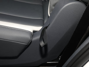 2022(bio)(zhn)m(x)PURE g