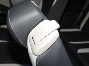 2022(bio)(zhn)m(x)PURE g