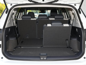 2022(bio)(zhn)m(x)PURE g