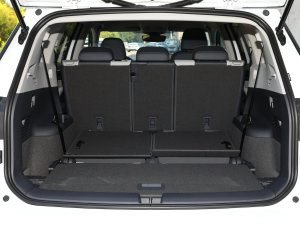 2022(bio)(zhn)m(x)PURE g