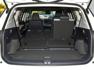 2022(bio)(zhn)m(x)PURE g