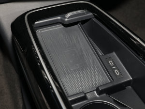 2022L(zhng)m(x)PURE+ g