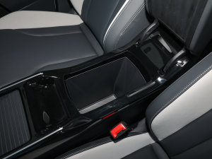 2022L(zhng)m(x)PURE+ g