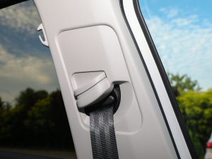 2022L(zhng)m(x)PURE+ g