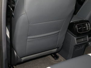 2022L(zhng)m(x)PURE+ g