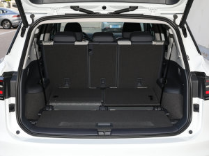 2022L(zhng)m(x)PURE+ g