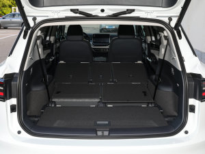 2022L(zhng)m(x)PURE+ g