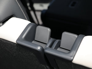 2022L(zhng)m(x)PURE+ g