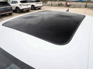 2023款200TSI DSG飞越版 车顶