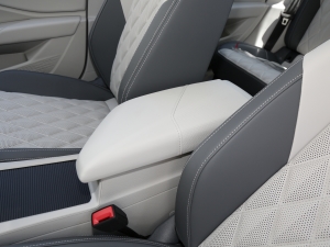 2023280TSI DSGԽPlus 