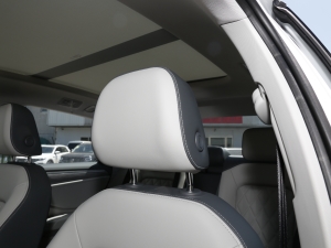 2023280TSI DSGԽPlus g