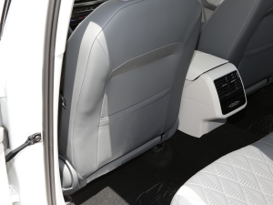 2023280TSI DSGԽPlus g