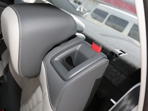 2023280TSI DSGԽPlus g