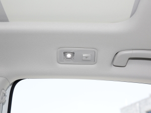 2023280TSI DSGԽPlus п؅^