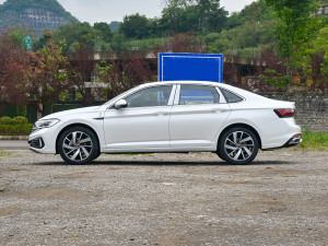 2023款300TSI DSG卓越版 正侧（左）