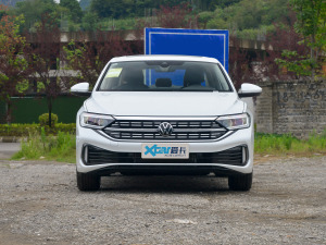 2023款300TSI DSG卓越版 正前