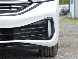 2023300TSI DSG׿Խ ^