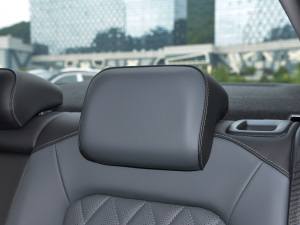 2023300TSI DSG׿Խ g