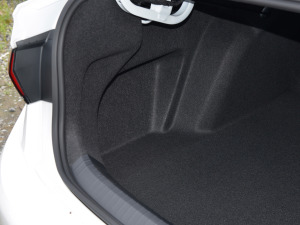 2023300TSI DSG׿Խ g