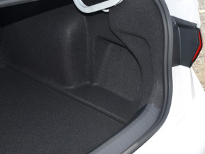 2023300TSI DSG׿Խ g