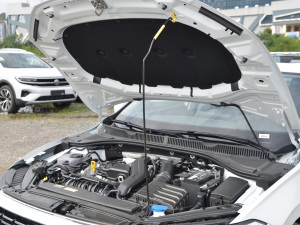 2023款300TSI DSG卓越版 其它