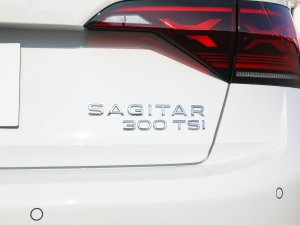 2023300TSI DSGԽ ϸ