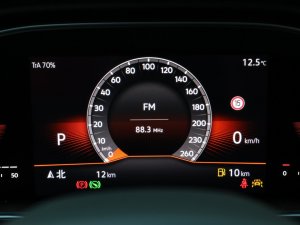 2023300TSI DSGԽ  п؅^