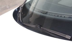 2023330TSI (q)APlusM(jn)A ˢ