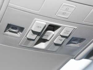 2023330TSI (q)APlusM(jn)A п؅^(q)