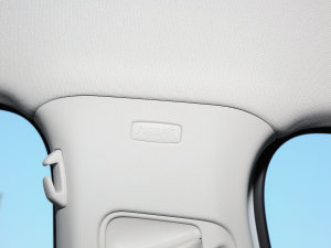 2023330TSI (q)APlusM(jn)A п؅^(q)