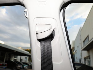 2023330TSI R-Lineܰ g